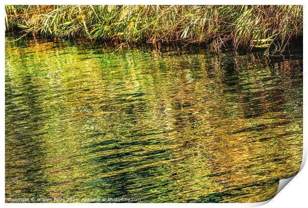 Jordan River Green Water Reflection Abstract Israel Print by William Perry