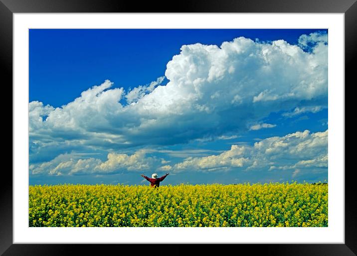 Open Sky Framed Mounted Print by Dave Reede