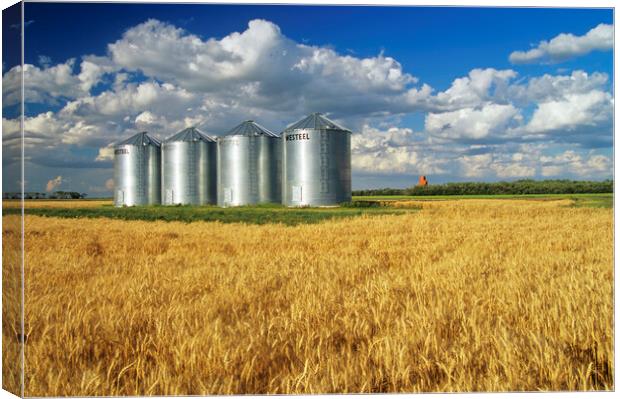Mature Winter Wheat Field With Grain Bins Canvas Print by Dave Reede