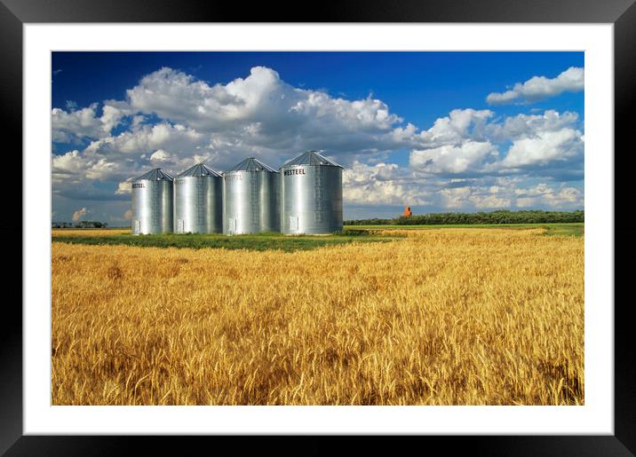 Mature Winter Wheat Field With Grain Bins Framed Mounted Print by Dave Reede