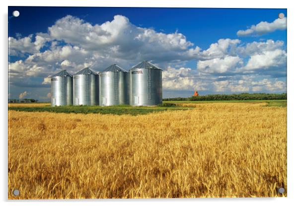 Mature Winter Wheat Field With Grain Bins Acrylic by Dave Reede