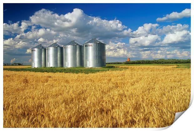 Mature Winter Wheat Field With Grain Bins Print by Dave Reede
