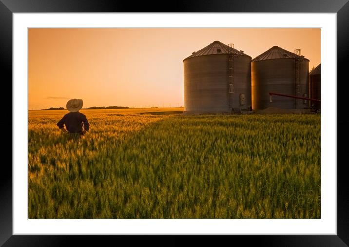 Farm View Framed Mounted Print by Dave Reede