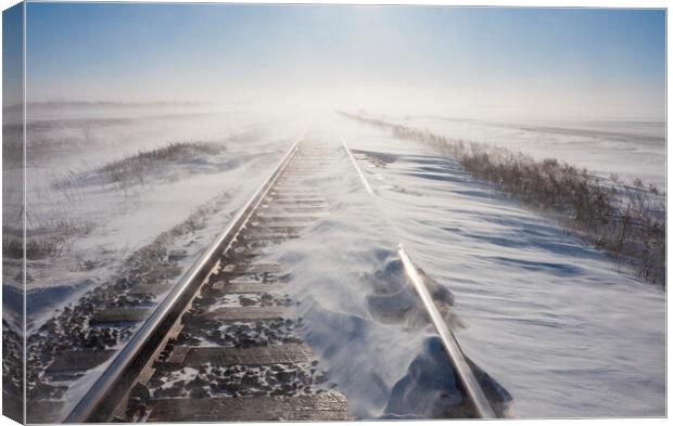 Winter Winds Along the Railway Canvas Print by Dave Reede