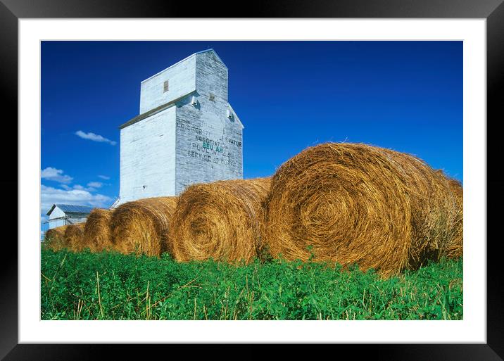 Alfalfa Bales in front of Old Grain Elevator Framed Mounted Print by Dave Reede
