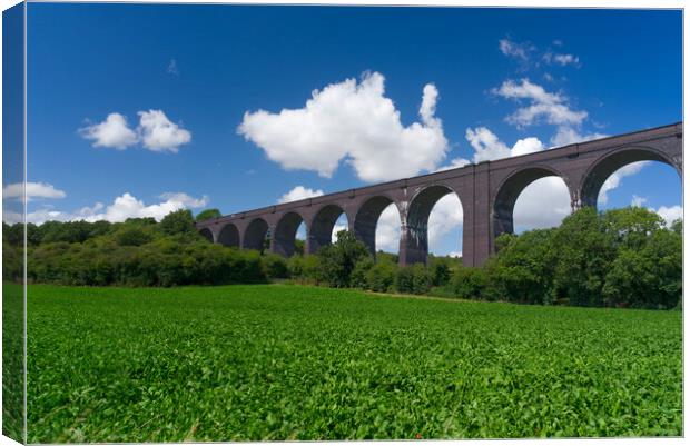 Conisbrough Viaduct Doncaster Canvas Print by Alison Chambers