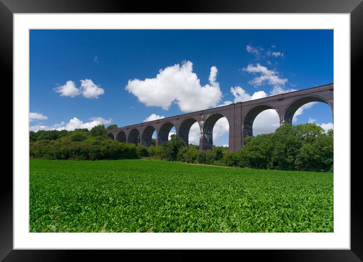Conisbrough Viaduct Doncaster Framed Mounted Print by Alison Chambers