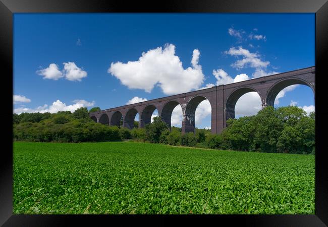 Conisbrough Viaduct Doncaster Framed Print by Alison Chambers