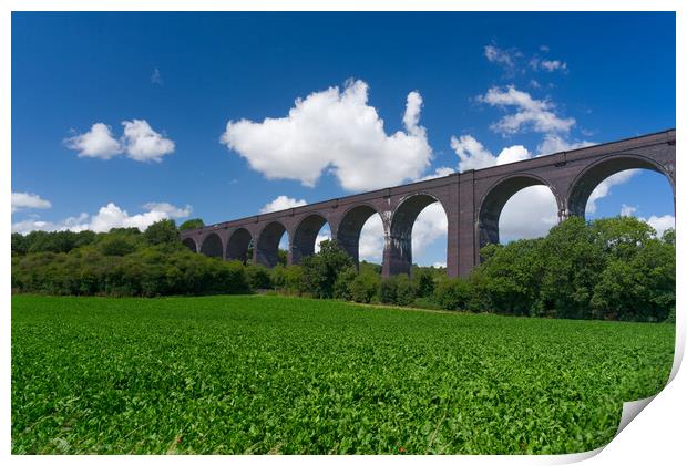 Conisbrough Viaduct Doncaster Print by Alison Chambers