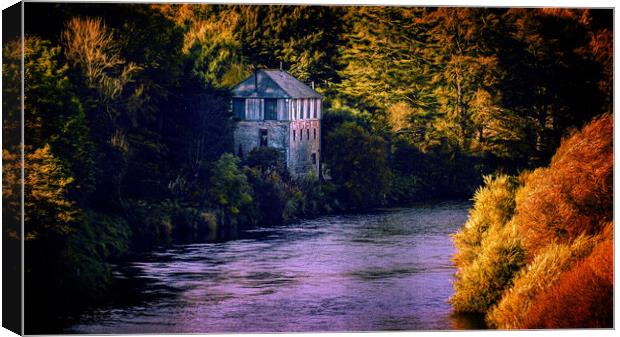 Fishing Lodge  on the North River Esk Montrose Canvas Print by DAVID FRANCIS
