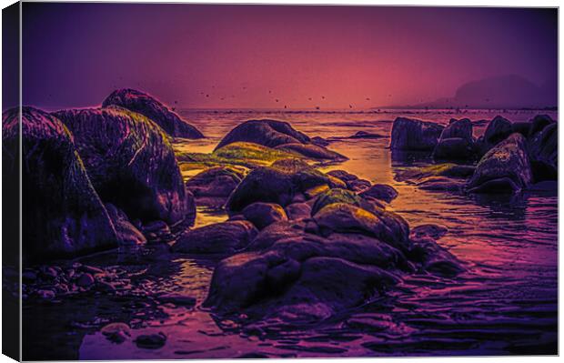 Rocks in the Mist at Stonehaven Canvas Print by DAVID FRANCIS