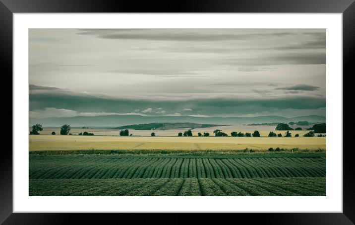 A Potato Field in the Mearns Scotland Framed Mounted Print by DAVID FRANCIS