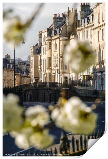 Photography of Paragon in cotswold city Bath, somerset, UK  Print by Rowena Ko