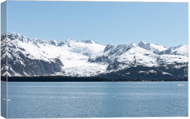 Snow Covered Glacier above the Harvard Arm in College Fjord, Alaska, USA Canvas Print by Dave Collins