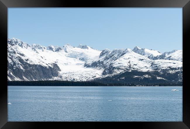 Snow Covered Glacier above the Harvard Arm in College Fjord, Alaska, USA Framed Print by Dave Collins