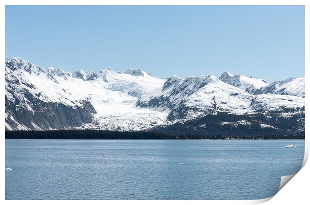 Snow Covered Glacier above the Harvard Arm in College Fjord, Alaska, USA Print by Dave Collins