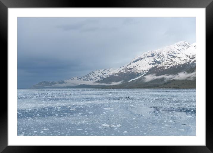 Growlers (small icebergs) floating in College fjord with low clouds hanging in the mountains behind Framed Mounted Print by Dave Collins