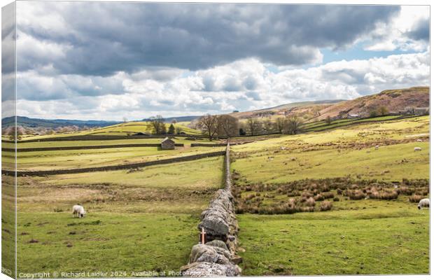 Towards Middleton in Teesdale from Holwick Canvas Print by Richard Laidler