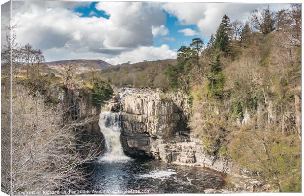 High Force Waterfall, Teesdale, in Spring sunshine Canvas Print by Richard Laidler
