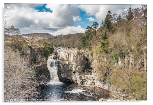 High Force Waterfall, Teesdale, in Spring sunshine Acrylic by Richard Laidler