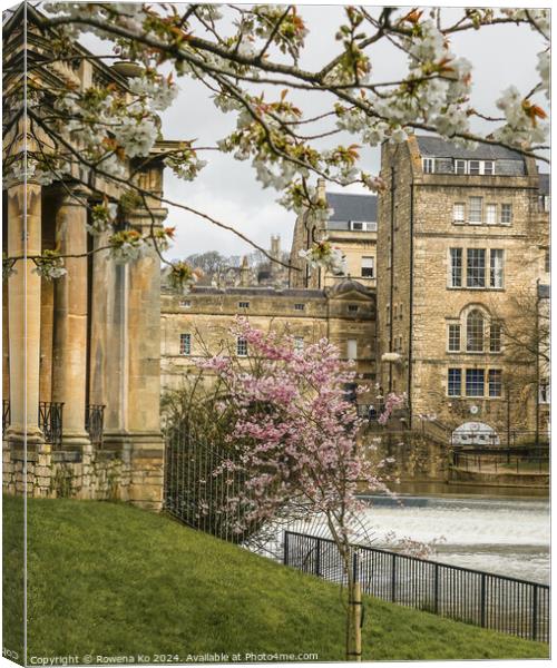 Photography of Parade Garden in cotswold city Bath, somerset, UK  Canvas Print by Rowena Ko