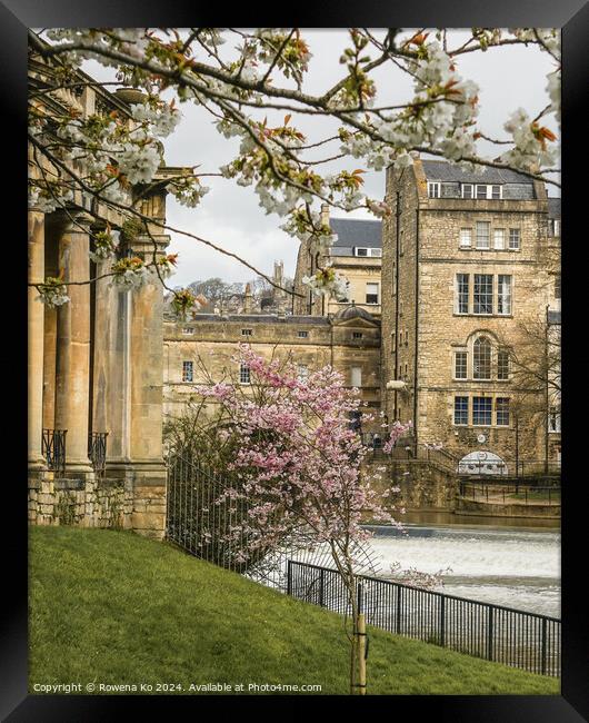 Photography of Parade Garden in cotswold city Bath, somerset, UK  Framed Print by Rowena Ko