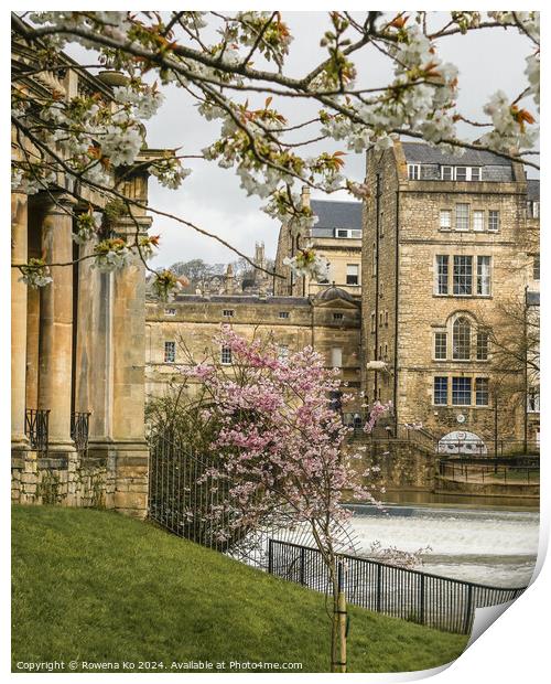 Photography of Parade Garden in cotswold city Bath, somerset, UK  Print by Rowena Ko