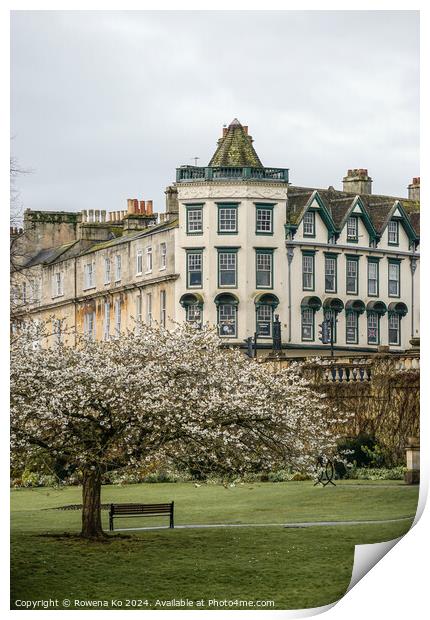 Photography of Parade Garden in cotswold city Bath, somerset, UK  Print by Rowena Ko