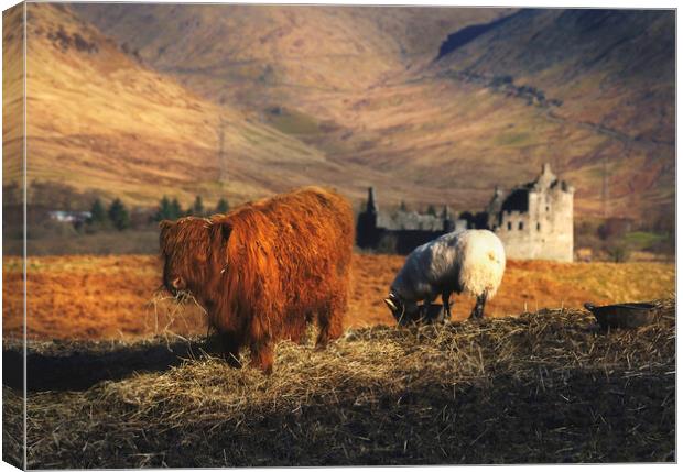 Welcome To Scotland Canvas Print by Anthony McGeever