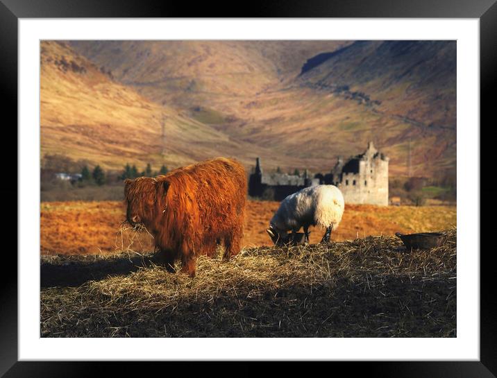 Welcome To Scotland Framed Mounted Print by Anthony McGeever
