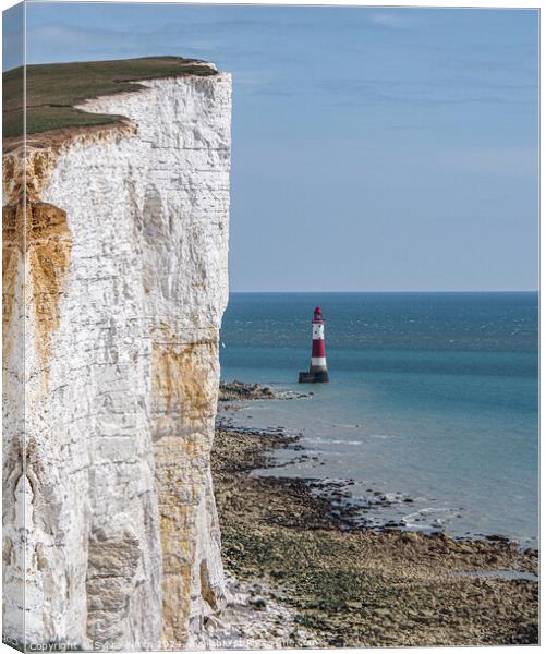 Beachy Head Light House Canvas Print by Sylvia White