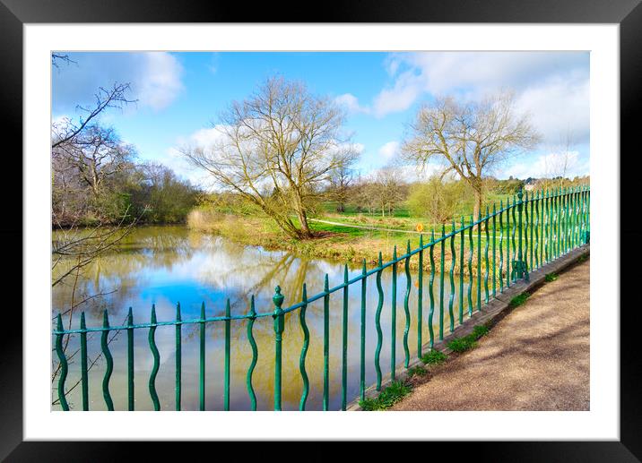 Cannon Hall Grounds and Lake Framed Mounted Print by Alison Chambers
