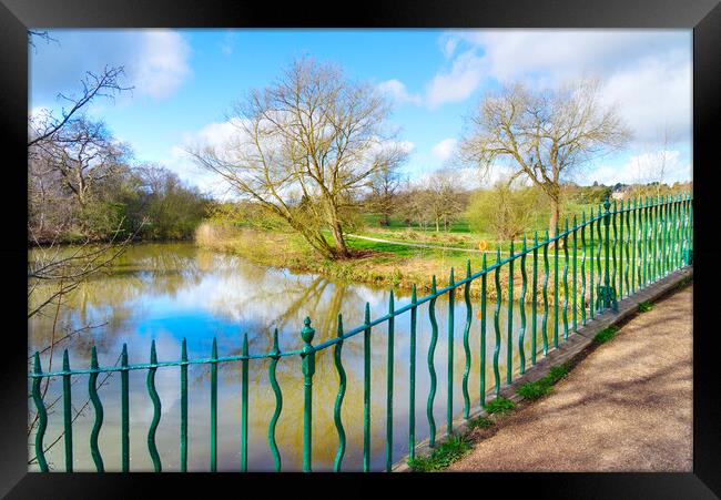 Cannon Hall Grounds and Lake Framed Print by Alison Chambers