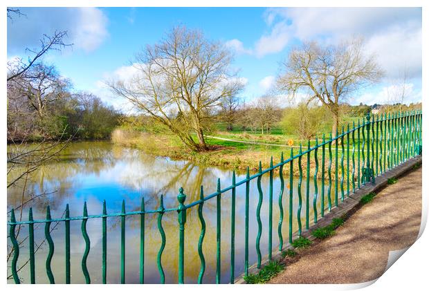 Cannon Hall Grounds and Lake Print by Alison Chambers