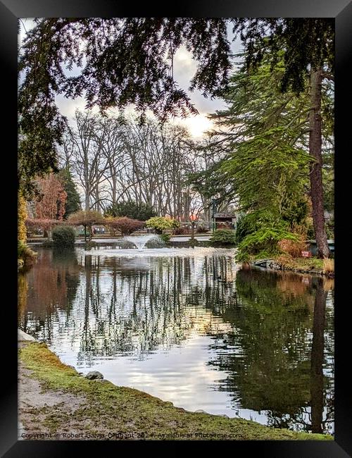 Tree reflections in park lake Framed Print by Robert Galvin-Oliphant