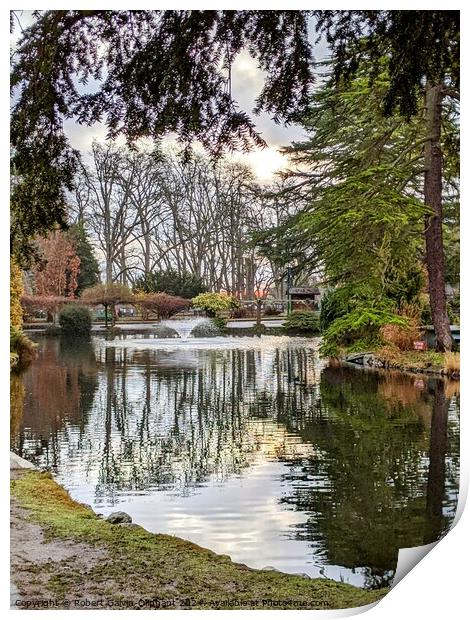 Tree reflections in park lake Print by Robert Galvin-Oliphant