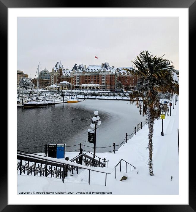 Windmill palm by a snowy harbour  Framed Mounted Print by Robert Galvin-Oliphant
