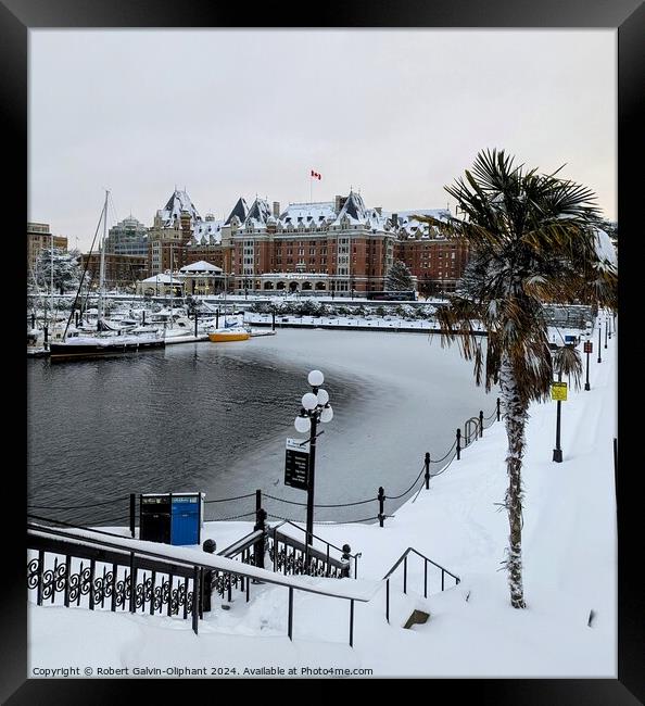 Windmill palm by a snowy harbour  Framed Print by Robert Galvin-Oliphant