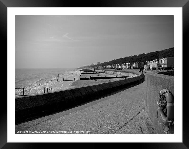 Frinton beach huts in monochrome Framed Mounted Print by JAMES UMNEY