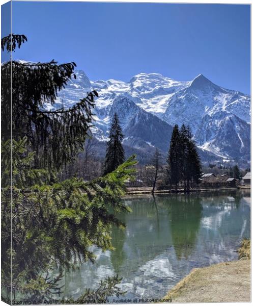 Lake and snowy Alps Canvas Print by Robert Galvin-Oliphant