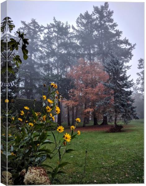 Flowers in a misty autumn park Canvas Print by Robert Galvin-Oliphant