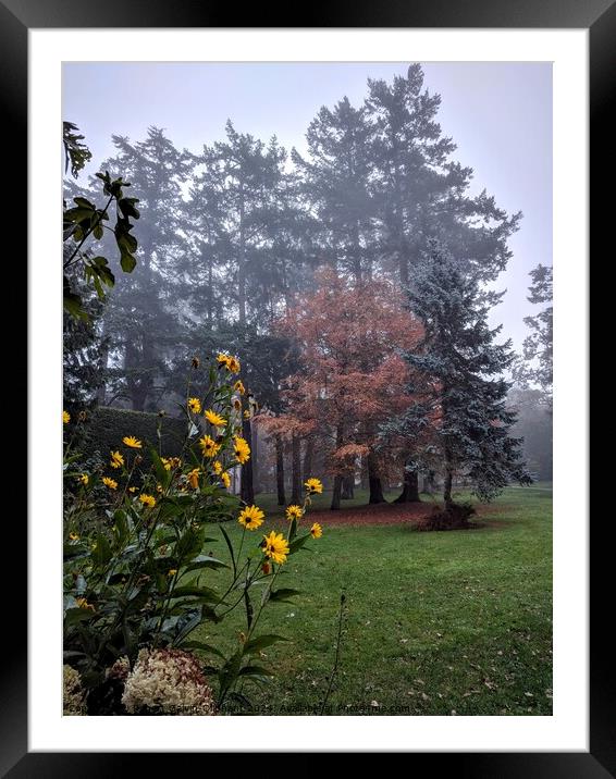 Flowers in a misty autumn park Framed Mounted Print by Robert Galvin-Oliphant