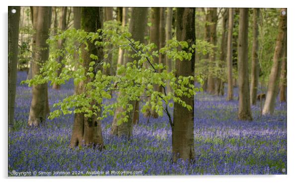  Bluebell Wood Acrylic by Simon Johnson