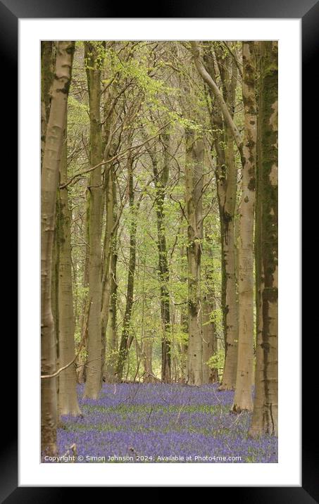 Bluebell Woodland  Framed Mounted Print by Simon Johnson