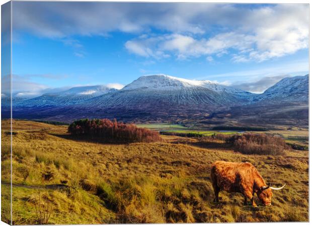 Loch Tulla Viewpoint Scotland Canvas Print by Alison Chambers