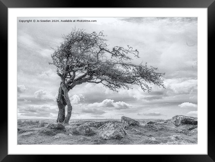 Combestone Tor Tree, Dartmoor in Black and White Framed Mounted Print by Jo Sowden