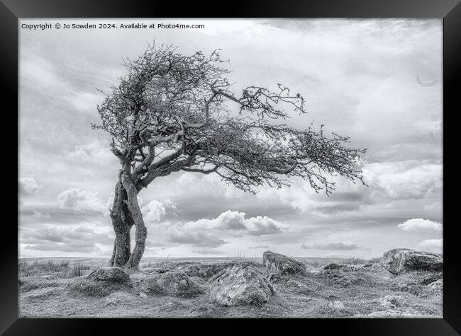 Combestone Tor Tree, Dartmoor in Black and White Framed Print by Jo Sowden