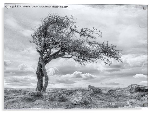 Combestone Tor Tree, Dartmoor in Black and White Acrylic by Jo Sowden