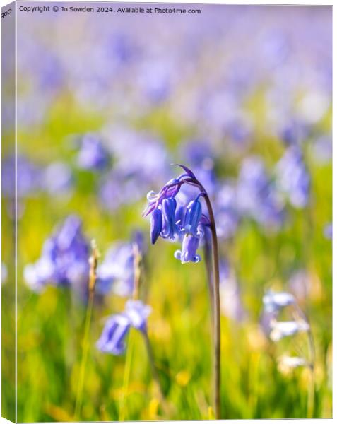 Single bluebell Canvas Print by Jo Sowden