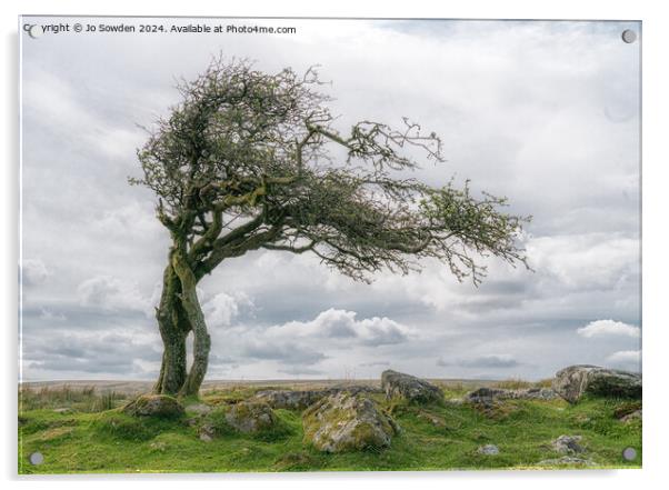 Combestone Tor Tree, Dartmoor Acrylic by Jo Sowden